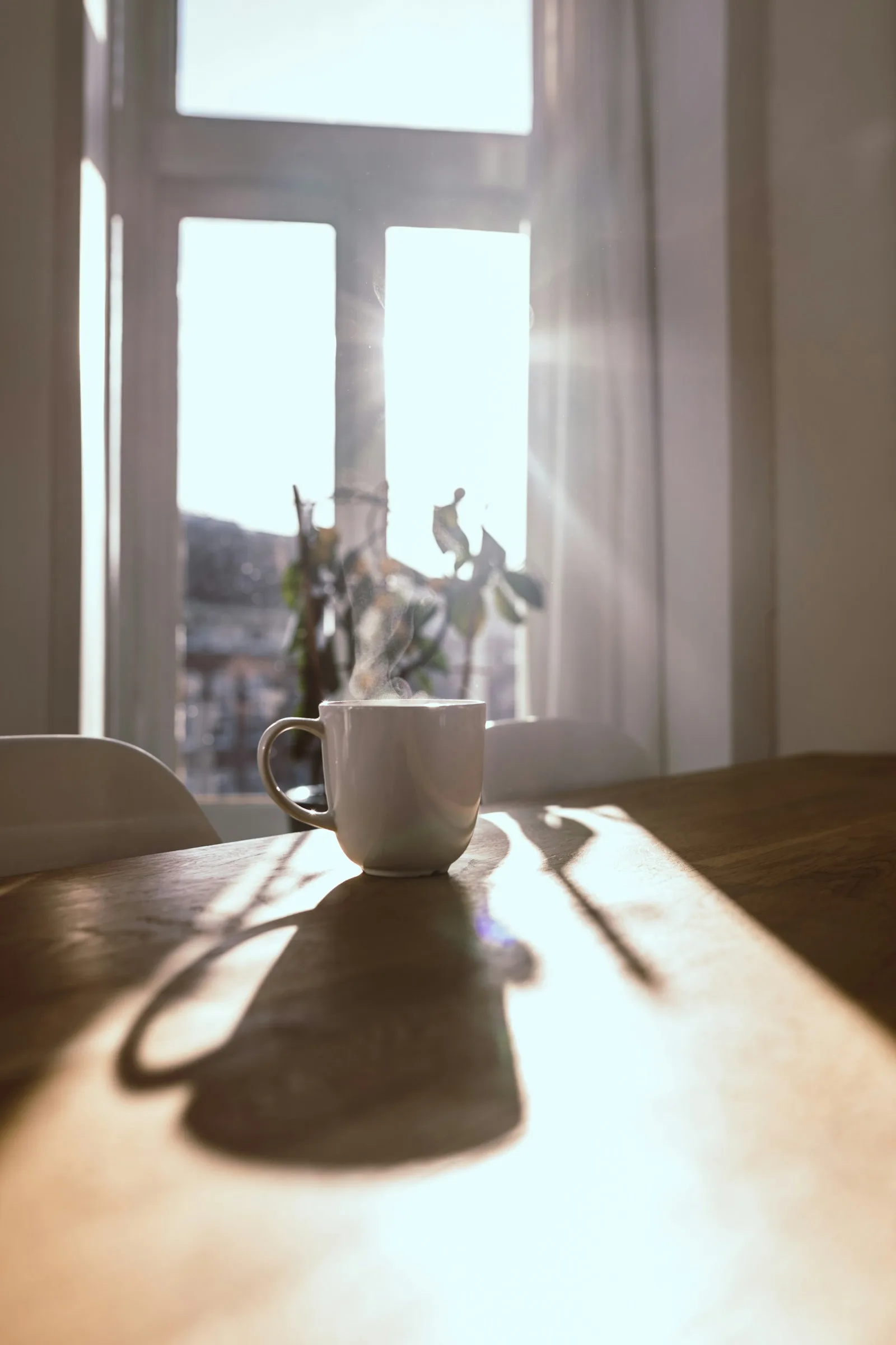 A quiet interior in morning light